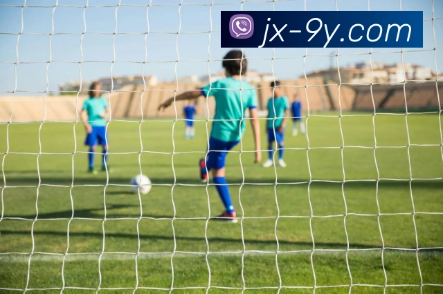 九游官网服务体系